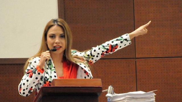 iris-aguirre-diputada