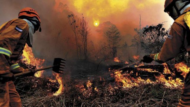 Ni pandemia ni huracanes disminuyen incendios forestales en Honduras