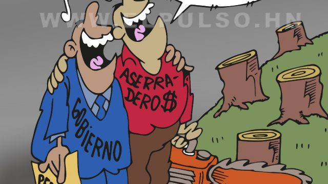 #ElPulso #Caricatura | En el día del árbol, deberíamos tomar conciencia de cuidar los bosques… ¿algún día tendremos conciencia de que necesitamos una Honduras verde?