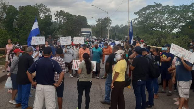 Piden que se declaren a los 298 municipios de Honduras como regiones libre de Zedes