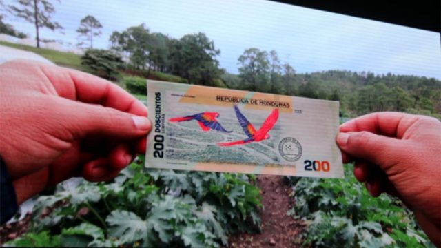 Honduras lanza billete de 200 lempiras por Bicentenario de la Independencia