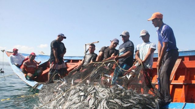 La pesca ilegal es una amenaza para los derechos laborales de los pescadores hondureños