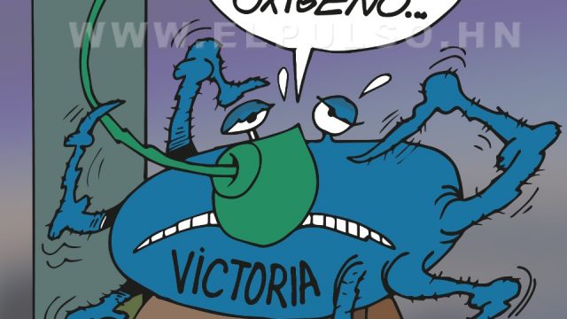 Caricatura del día