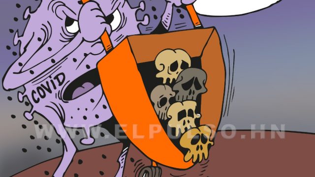 Caricatura del día