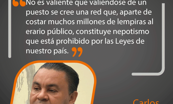 Cita del día