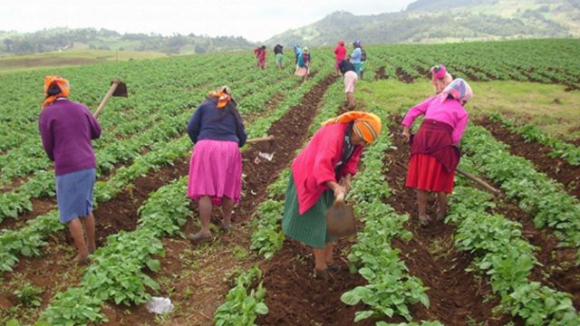 Lamentan que acceso a la propiedad es el principal problema de mujer campesina