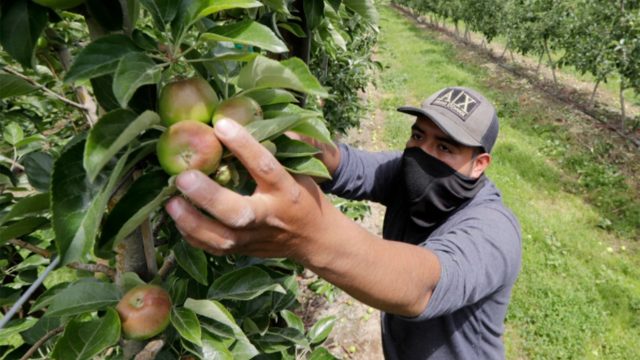 EE.UU. ofrecerá alrededor de 20 mil visas a trabajadores temporales