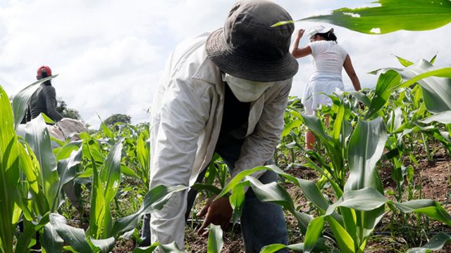 Ganaderos piden al nuevo gobierno que haga respetar la propiedad privada