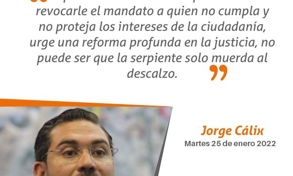 Cita del día
