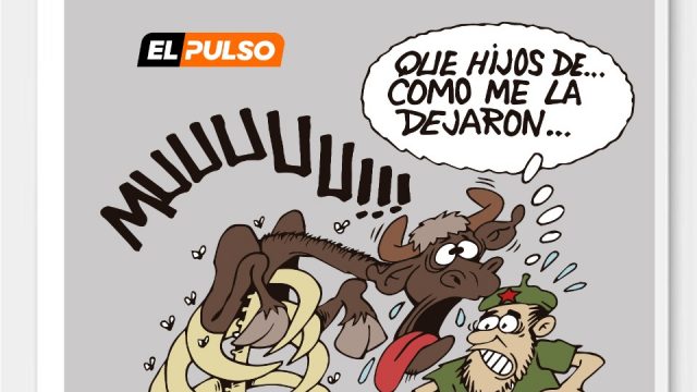 Caricatura del día