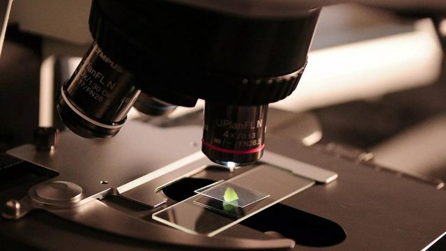 Rusia revela detalles de biolaboratorios secretos de la OTAN en Ucrania