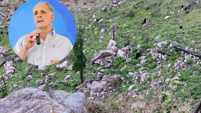 Denuncian tala de bosque para construir helipuerto; Asfura lo desmiente