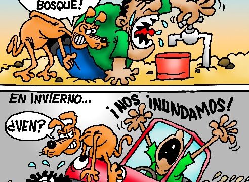 La Caricatura del día