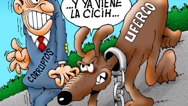 Caricatura del día