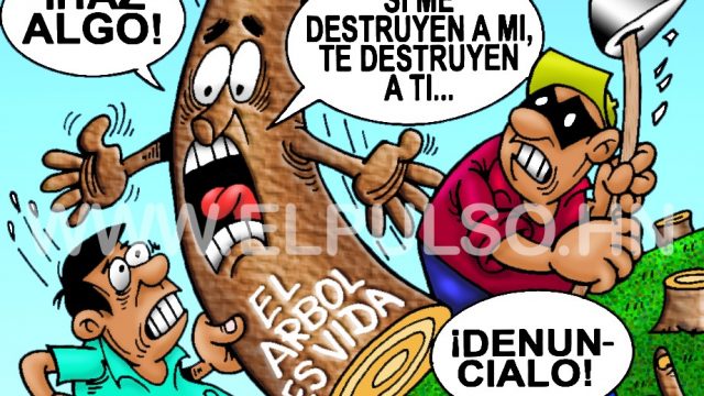 La caricatura del día