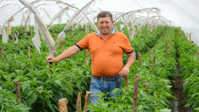 Alcides Valladares: “Walmart nos impulsa a crecer  y lograr nuestros sueños como pequeños productores”