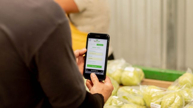 Nueva app Tierra Fértil impulsa el desarrollo de 246 productores agrícolas costarricenses