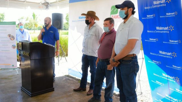 Walmart y Zamorano se unen para fortalecer a productores agrícolas locales