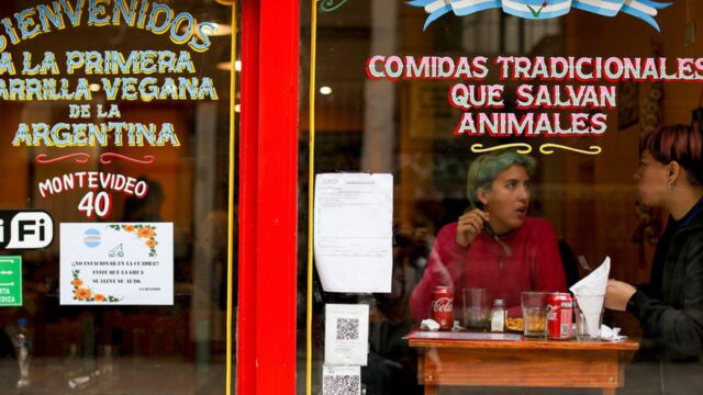 Comer una vez al día y compartir alquiler: las insólitas propuestas para defender el ajuste Milei