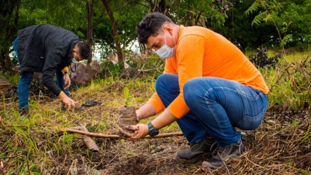 Cumplimiento ambiental: azucareros benefician al medio ambiente con buenas prácticas