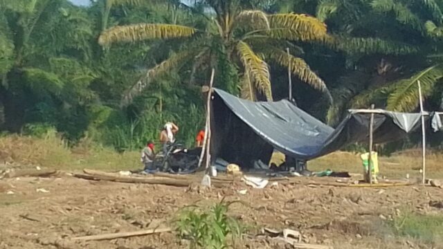 Azunosa lamenta reincidencia de invasiones ilegales de sus fincas