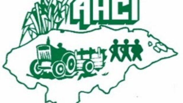 Cañeros independientes niegan que sean los causantes de la densa capa de humo