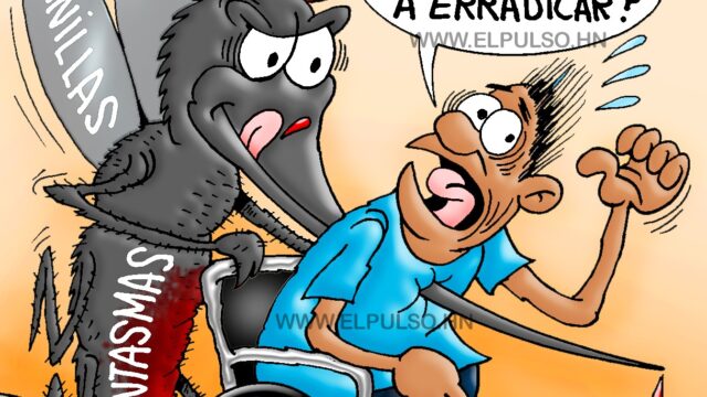 Caricatura del día
