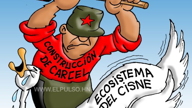 Caricatura del día