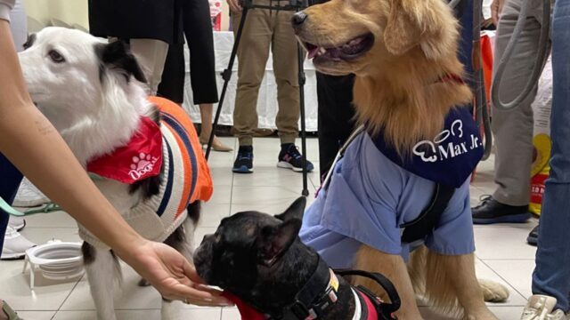 La Fundación Ruth Paz y Cargill Lanzan programa “Dogtors”