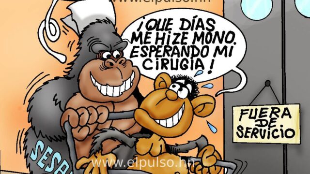 Caricatura del día