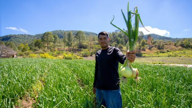 El programa De Mi Tierra celebra sus 16 años recibiendo premio Anáhuac a la Responsabilidad Social 2024