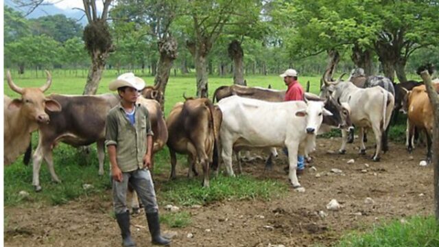 El Congreso aprueba exonerar el equipo para combatir el gusano barrenador del gusano 