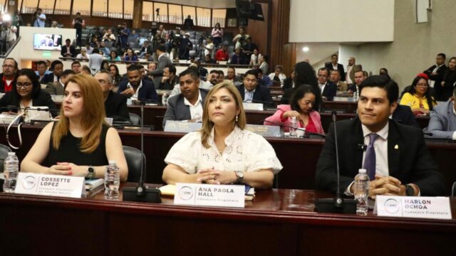 CNE anuncia primer ensayo del TREP; Hall se pronuncia sobre pedido de inscripción de Cálix