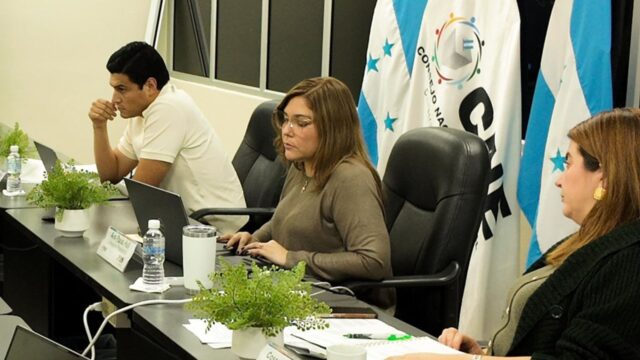 La OEA hace un llamado urgente a las autoridades electorales para concluir el escrutinio