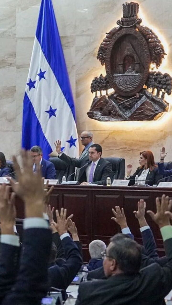Libre se planta contra la reforma energética que discute el oficialismo: «La ENEE no se vende»