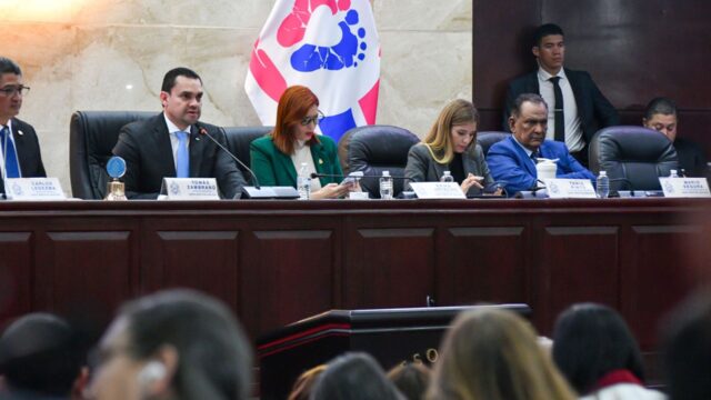 Congreso Nacional aprueba por unanimidad decreto de amnistías