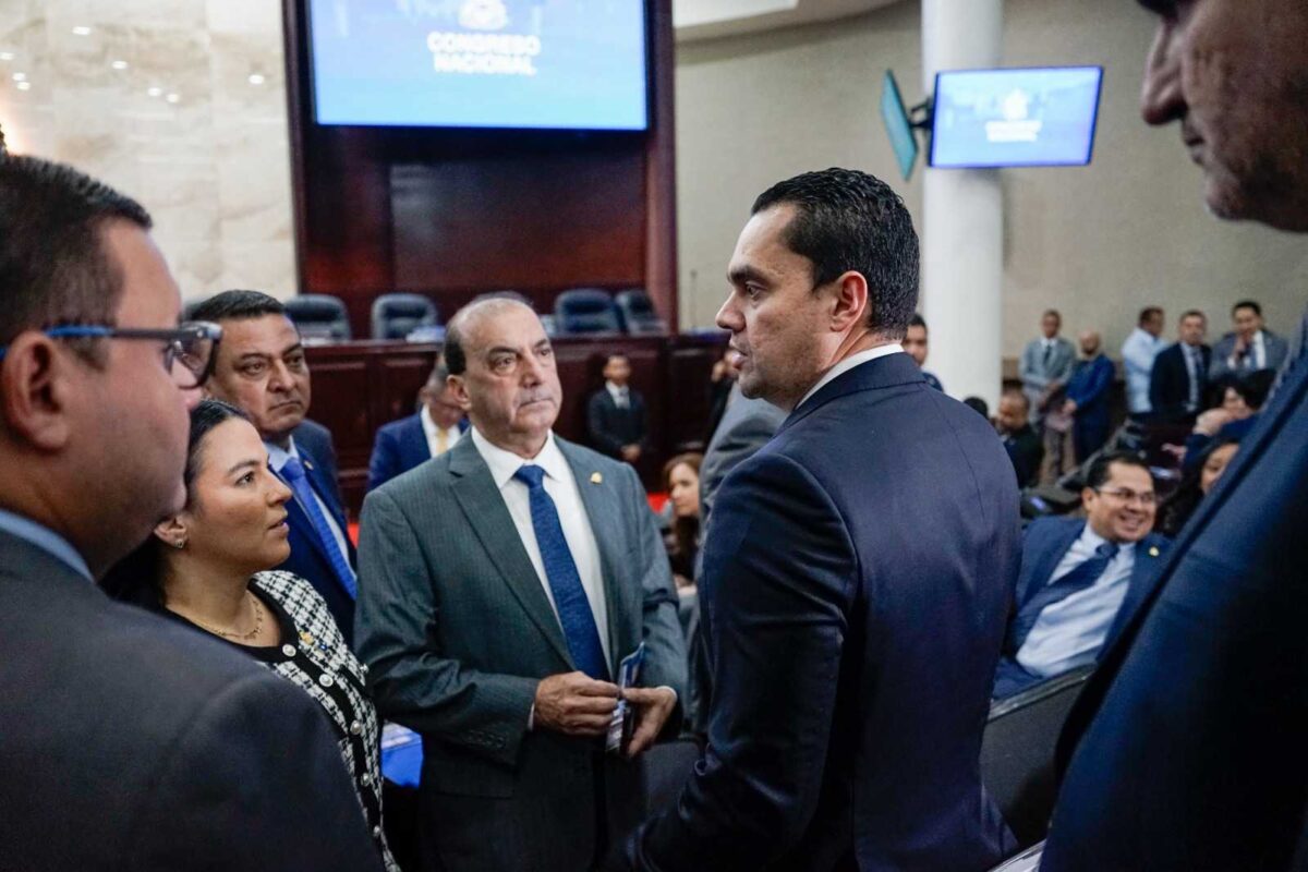 Congreso retomará debate de las reformas a la ENEE en medio de cuestionamientos de la oposición