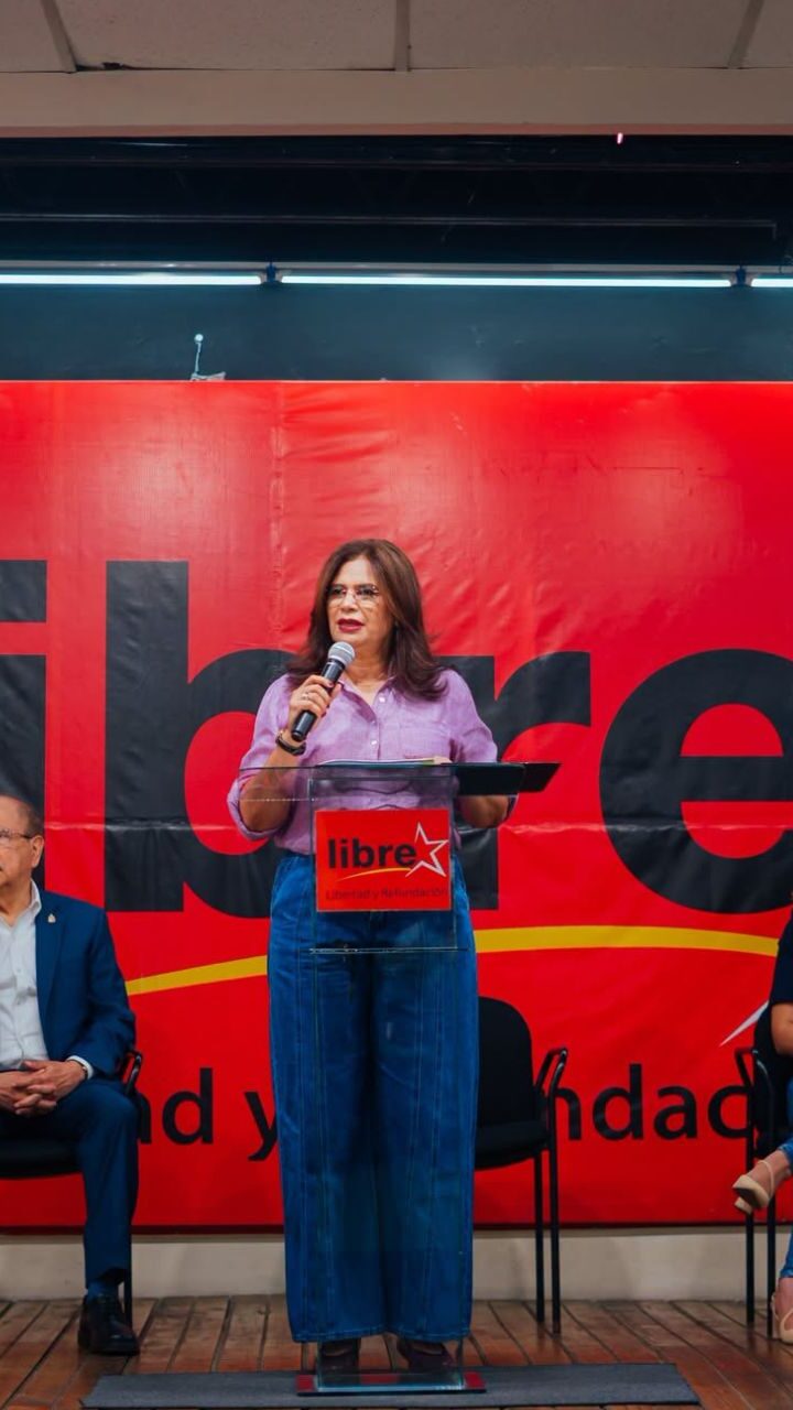 Libre advierte privatización encubierta de la ENEE; rechaza reformas al subsector eléctrico