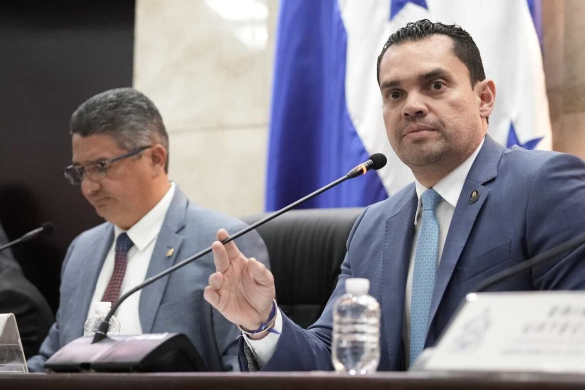 Congreso Nacional impulsa búsqueda de soluciones  para enfrentar fallas eléctricas