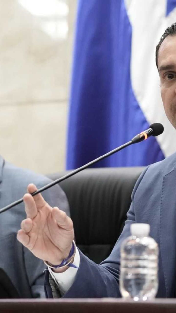 Congreso Nacional impulsa búsqueda de soluciones  para enfrentar fallas eléctricas