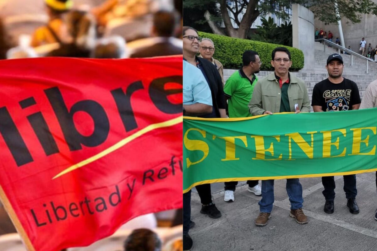 Libre y el STENEE advierten que la reforma eléctrica abre la puerta a la privatización de la ENEE Libre y el STENEE advierten que la reforma eléctrica abre la puerta a la privatización de la ENEE