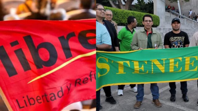 Libre y el STENEE advierten que la reforma eléctrica abre la puerta a la privatización de la ENEE