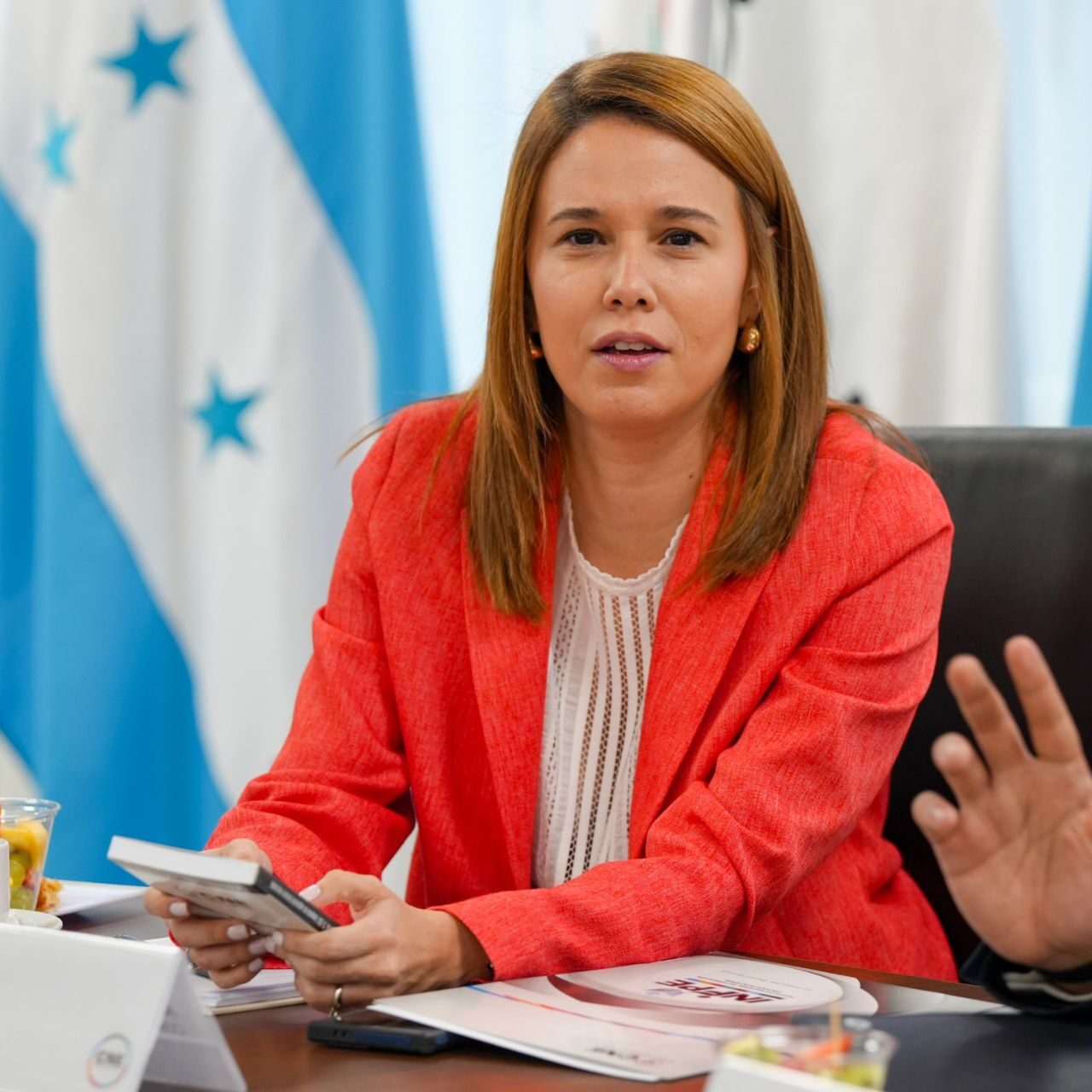 La democracia necesita personas que respeten la ley, no solo nuevas reformas: Consejera Aixa Zelaya