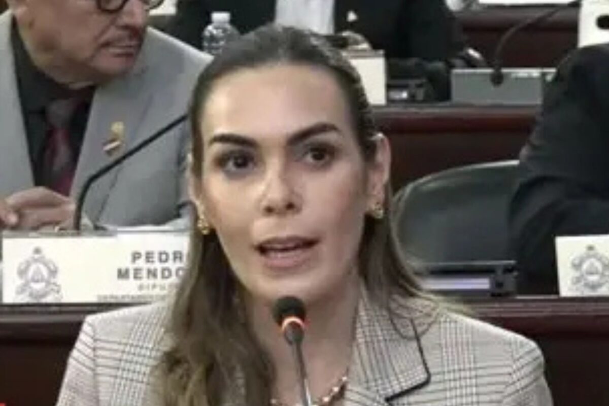 Diputada Alia Kafati retira proyecto de decreto para regular la reelección presidencial