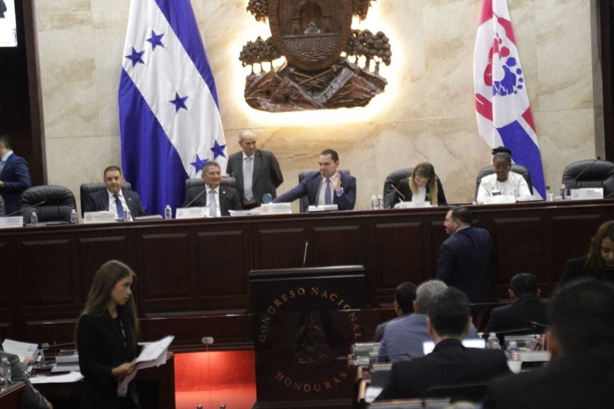 Presentan ante el pleno del Congreso Nacional la ley de protección de desaparecidos