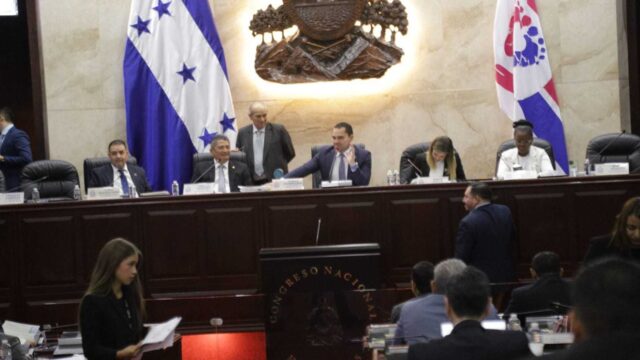 Presentan ante el pleno del Congreso Nacional la ley de protección de desaparecidos