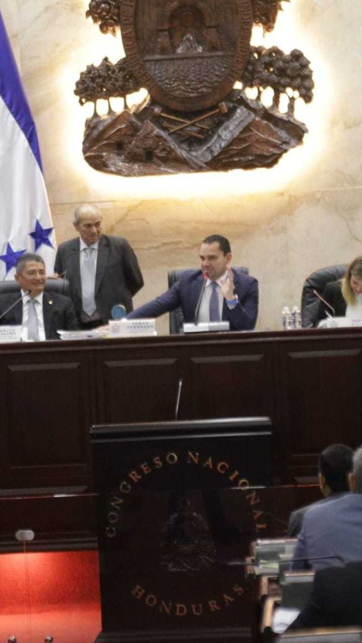 Presentan ante el pleno del Congreso Nacional la ley de protección de desaparecidos
