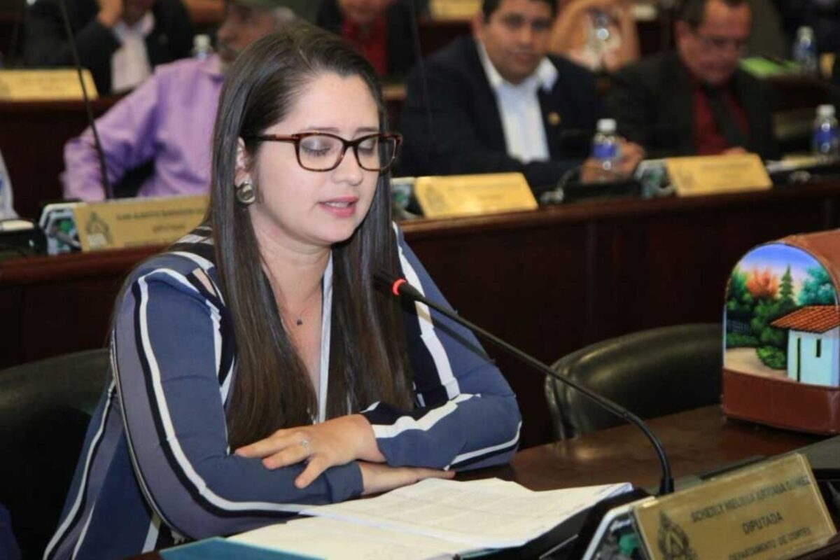 Sala Constitucional admite amparo de Scherly Arriaga por acceso a expediente del caso Comisión Permanente Sala Constitucional admite amparo de Scherly Arriaga por acceso a expediente del caso Comisión Permanente
