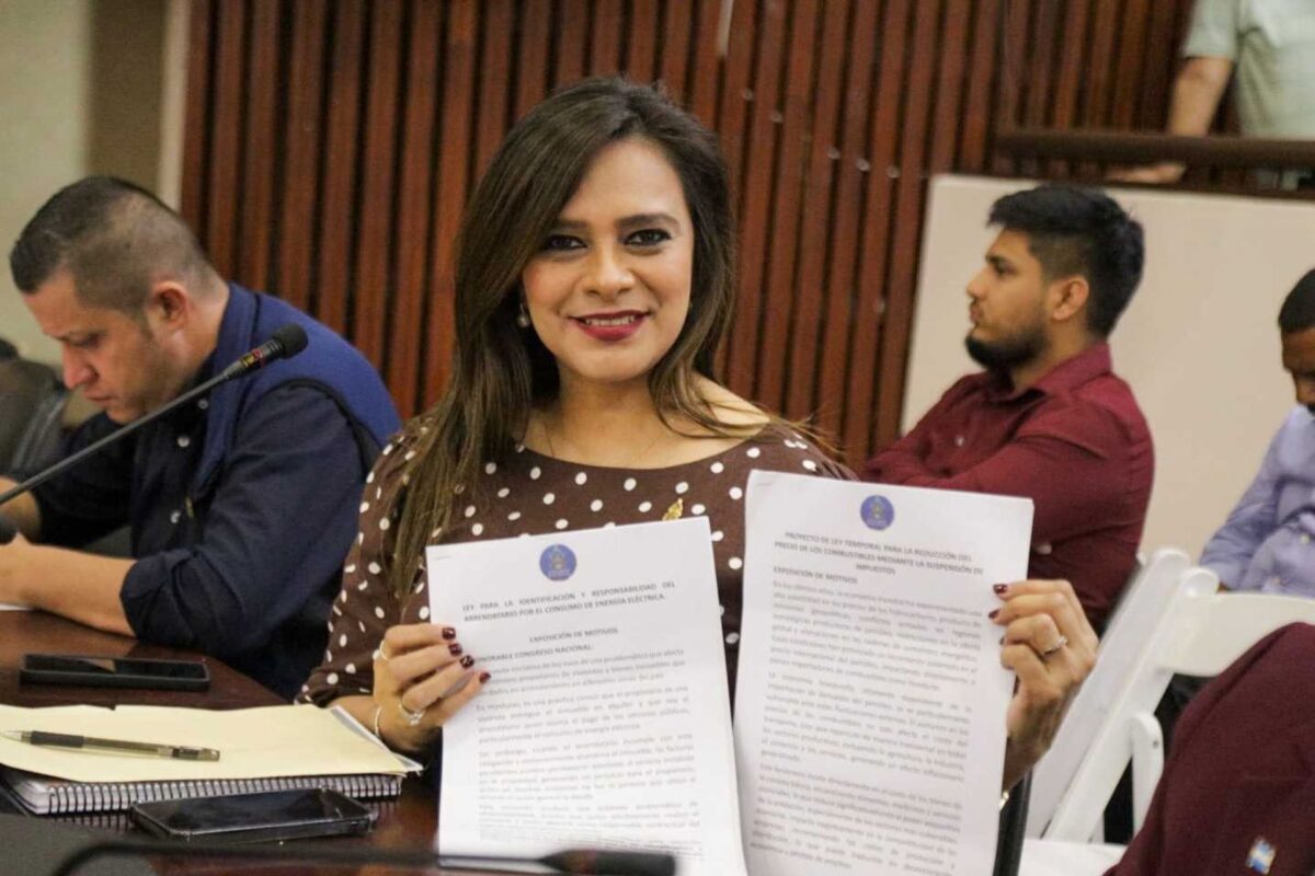 Proponen ley para evitar que propietarios de viviendas paguen deudas de luz de inquilinos Proponen ley para evitar que propietarios de viviendas paguen deudas de luz de inquilinos