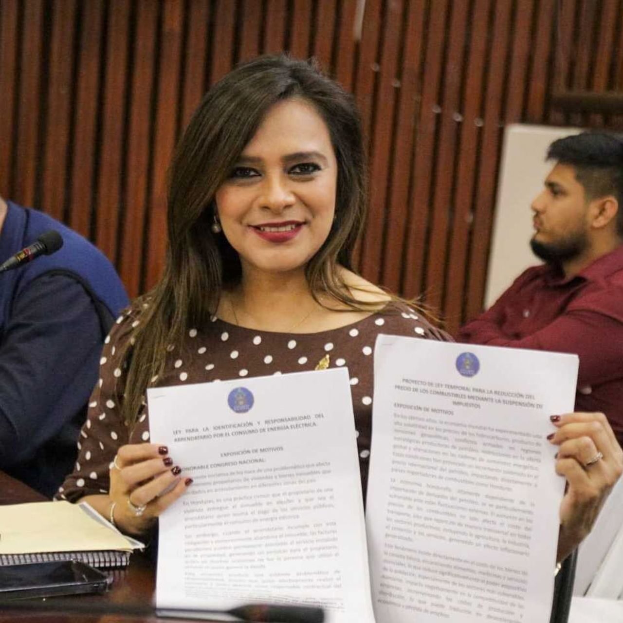 Proponen ley para evitar que propietarios de viviendas paguen deudas de luz de inquilinos